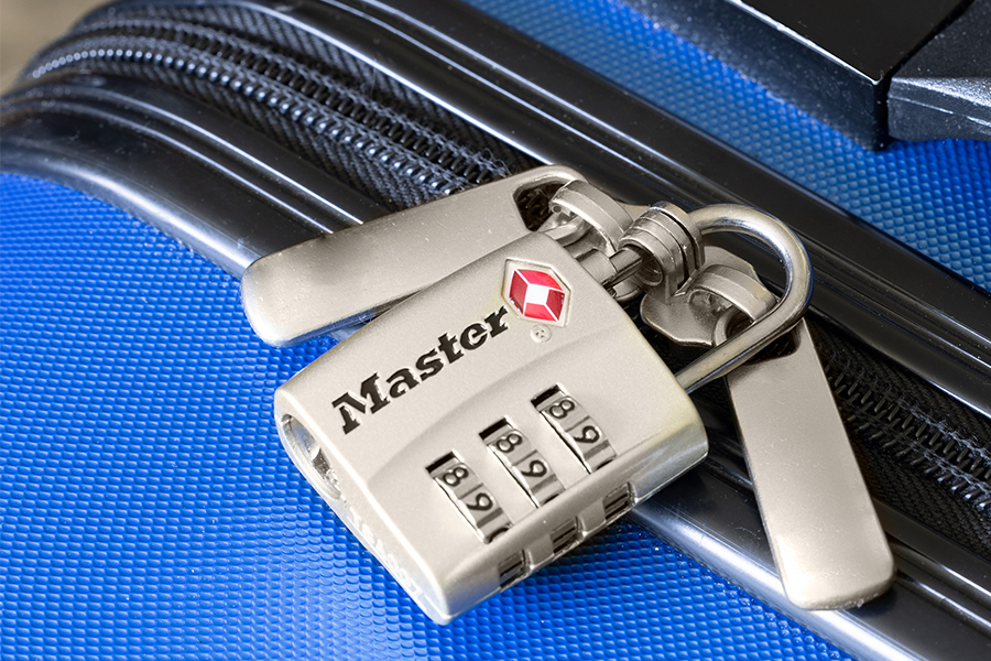 Master Lock TSA Approved Luggage Lock